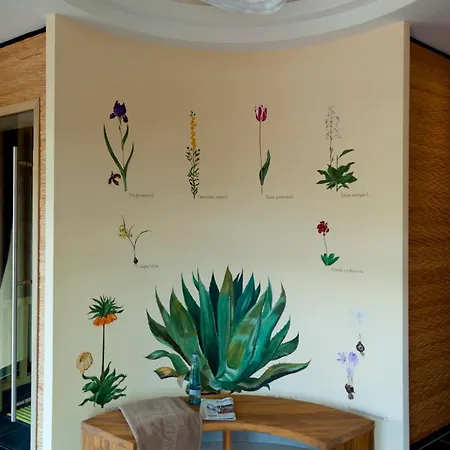 Hotel Romantik Waldschloesschen 4*